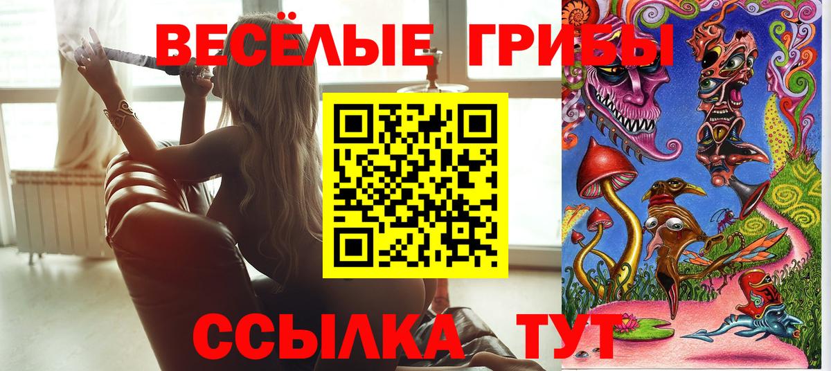 Галлюциногенные грибы MAGIC MUSHROOMS Ртищево