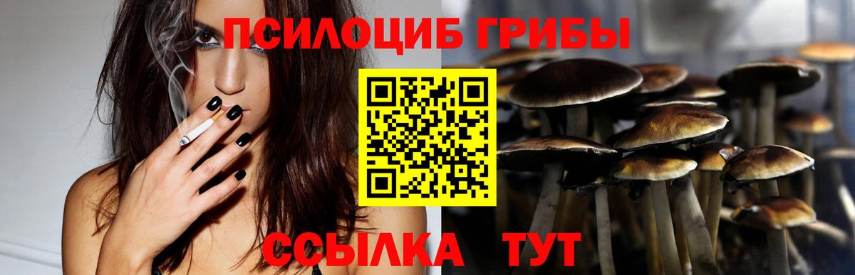 Галлюциногенные грибы Psilocybine cubensis  Псилоцибиновые грибы ЛСД  Вход с VPN  Ртищево 